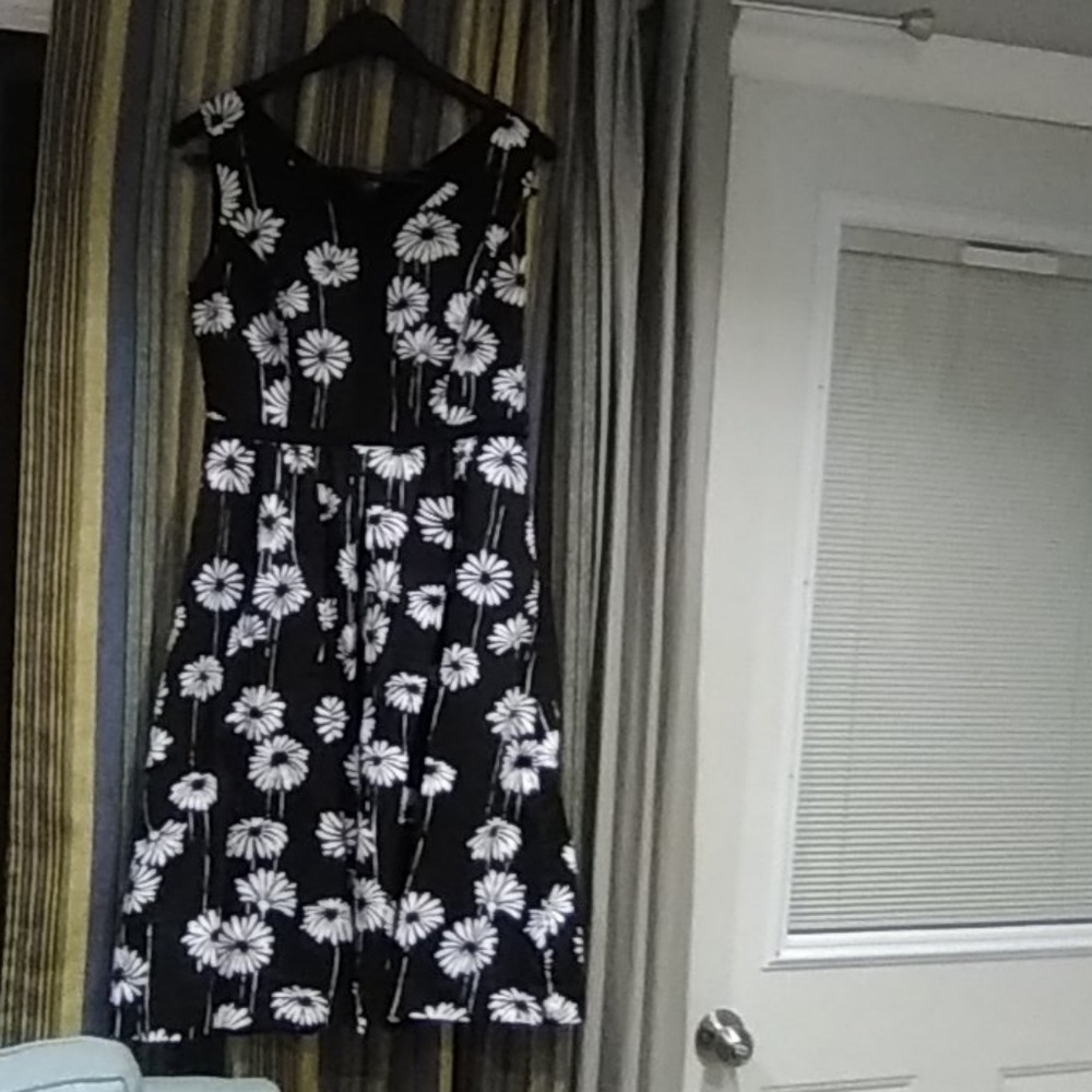Women black and white sunflower by Talbots